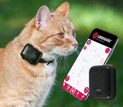 rfid cat tracker|cat tracking collars and tags.